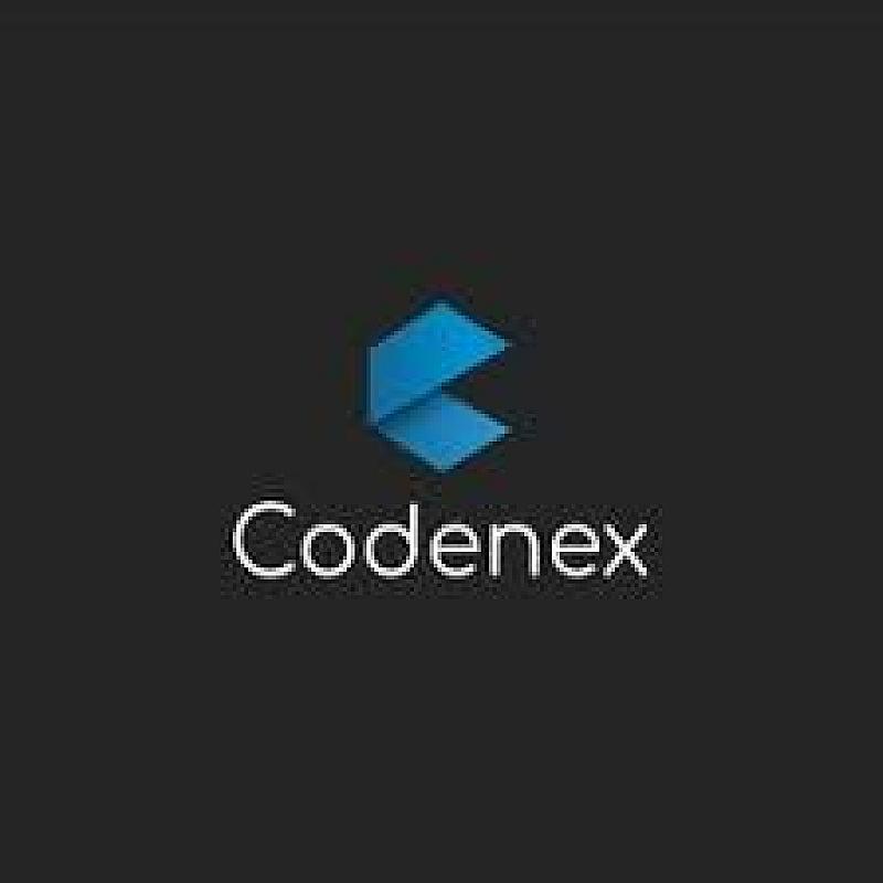 CodeNex Solutions