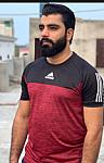 Raja Hamza