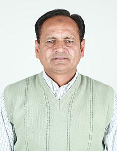 M Siddique